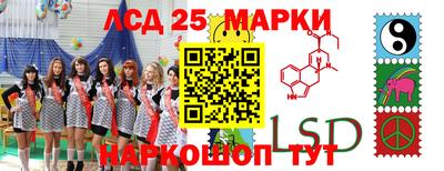 mdpv Краснознаменск